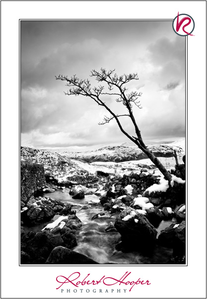 0308-lakedistrict-0022-copy
