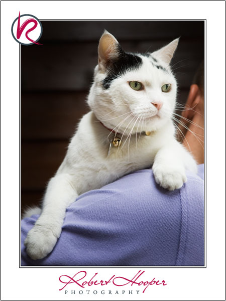 Shelley\'s pet portraits. Pet photography by Robert Hooper Photography