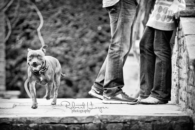 Quirky pre wedding photography in Surrey 