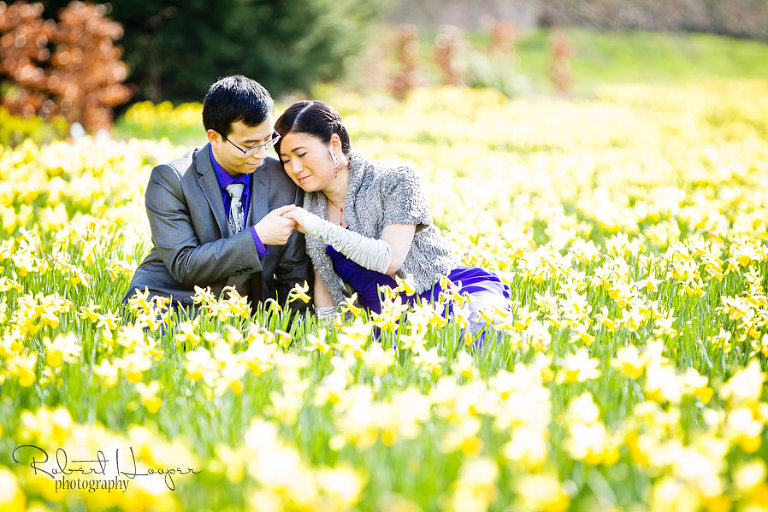 Pre wedding couple in field of daffodils