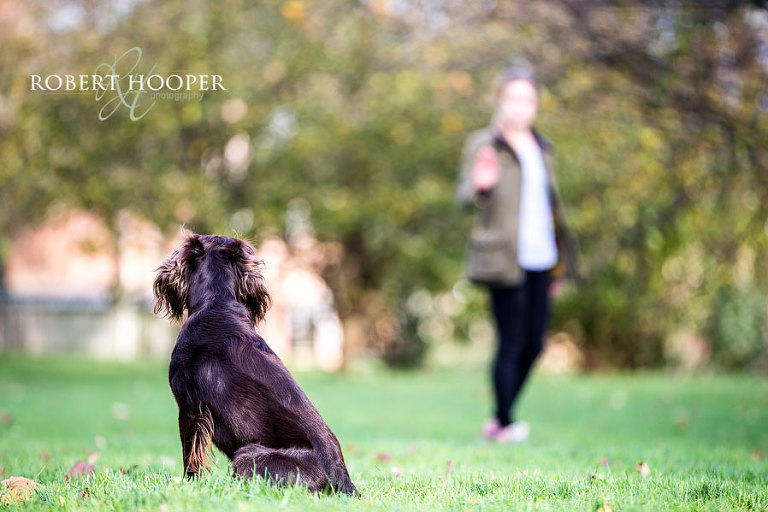 Dog photography London
