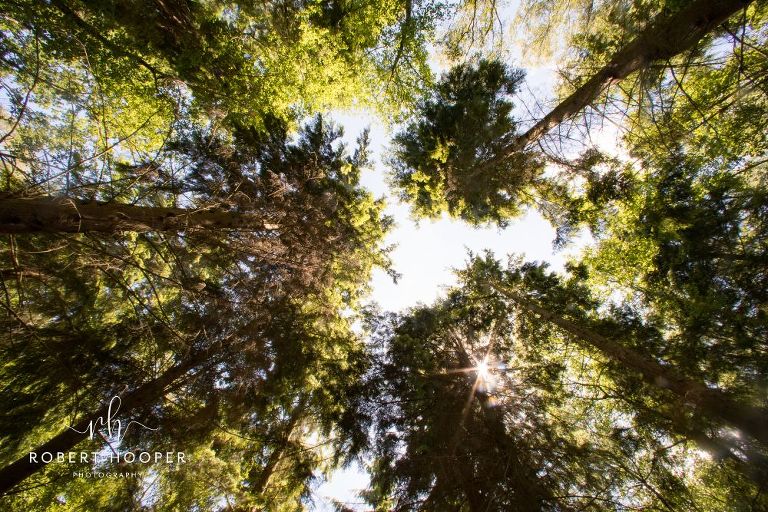 Wedding-festival-photography-Surrey-10