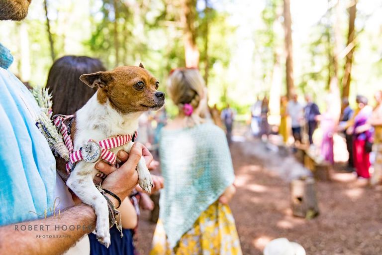 Wedding-festival-photography-Surrey-23