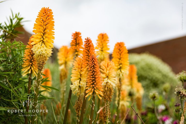 Wedding-London-Golf-Club-50